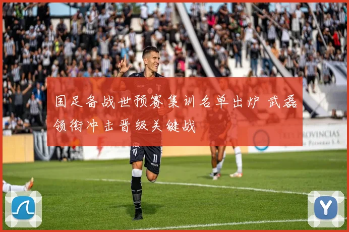 国足备战世预赛集训名单出炉 武磊领衔冲击晋级关键战