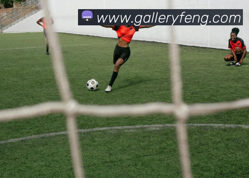 emc易倍全站网页版服务体系